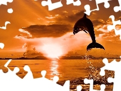 Skok, Delfin, Zachód, Słońca