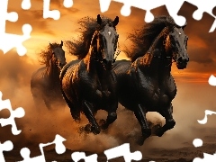Kare, Trzy, Kurz, Zachód słońca, Galop, Konie