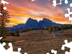 Drzewa, Droga, Włochy, Polana, Zachód słońca, Dolomity, 
