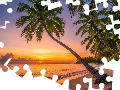 Plaża, Tropiki, Morze, Palmy, Zachód słońca