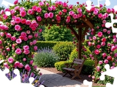 Pergola, Ogród, Kwiaty, Klomby, Róże, Ławka