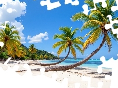 Plaża, Morze, Grafika, Palmy