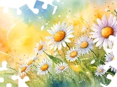 Margerytki, Kwiaty, Grafika, Białe