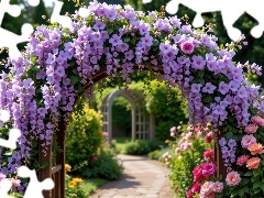 Ogród, Glicynia, Róże, Pergola