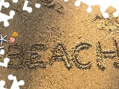 Napis, Beach, Rozgwiazdy, Muszelki, Plaża