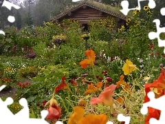 Domek, Ogródek, Drewniany