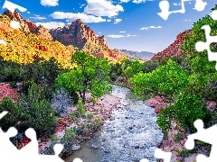 Góra Watchman, Rzeka, Stany Zjednoczone, Virgin River, Stan Utah, Góry, Park Narodowy Zion, Drzewa