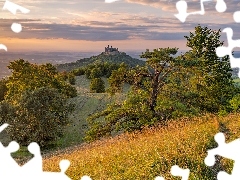 Zamek Hohenzollern, Góry, Trawa, Niemcy, Drzewa, Góra Hohenzollern