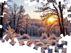 Wschód słońca, Grafika AI, Drzewa, Las, Zima