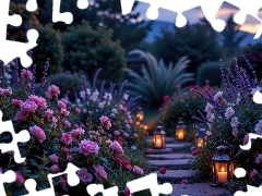 Róże, Kwiaty, Ozdobne, Różowe, Ogród, Rośliny, Lampion