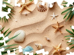 Zielone, Liście, Muszelki, Rozgwiazdy, Piasek
