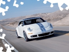 Volkswagen New Beetle