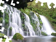 Drzewa, Wodospad