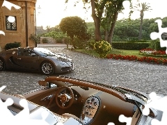 Bugatti Veyron, Samochód, Dom, Ogród