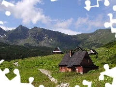 domki , trawy, Góry