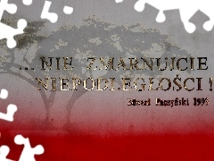 Napis, Patriotyzm, Nie Zmarnujcie Niepodległości