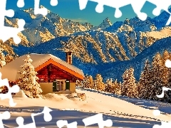 Domek, Lasy, Zima, Góry