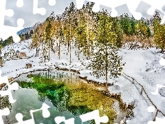 Lasy, Staw, Zima