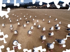 Plaża, Mewy, Domy