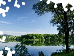 Lasy, Drzewa, Jezioro