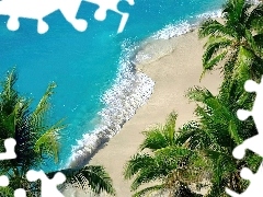 Palmy, Plaża, Morze, Fale