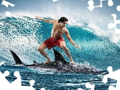 Surfingowa, Rekin, Deska