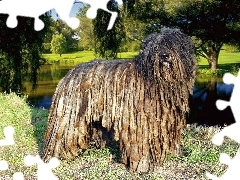 park, Bergamasco
