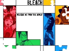 fotki, miś, Bleach, plakat, ludzie