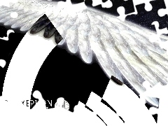 skrzydło, Rahxephon
