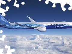 Pasażerski, Boeing 787, Samolot