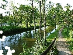 Ścieżka, Drzewa, Rzeka