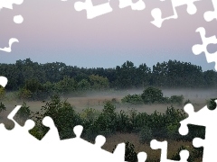 Mgła, Łąka