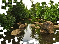 Rzeka, Kamienie, Las