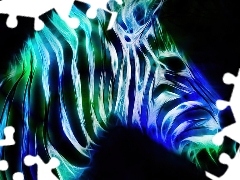 Paski, Zebra