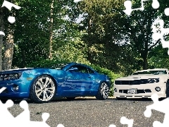 Droga, Camaro, Dwa, Drzewa, Chevrolety