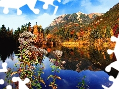 Jesień, Las, Jezioro, Góry