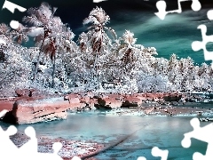Głazy, Palmy