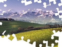 Góry, Łąka