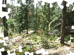 Las