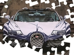 Bugatti Veyron, Sportowe