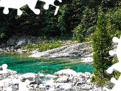 Las, Kamienie, Rzeka