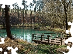 Staw, Podest, Lasek