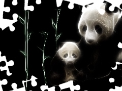 Panda, Fractalius, Misie