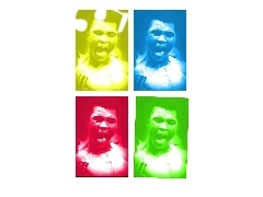 bokser, Boks