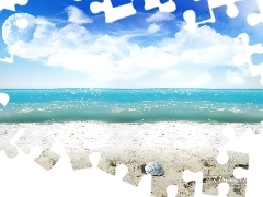 Plaża, Muszla, Morze