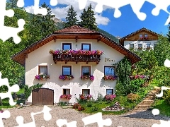 Wiosna, Kwiaty, Dom
