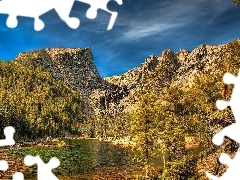 Rzeka, Góry, Drzewa