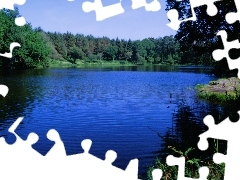 Zalesione, Brzegi, Jezioro