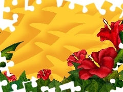 Tekstura, Hibiskus, Czerwone, Kwiaty