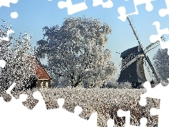 Drzewa, Trawa, Wiatrak, Oszroniona